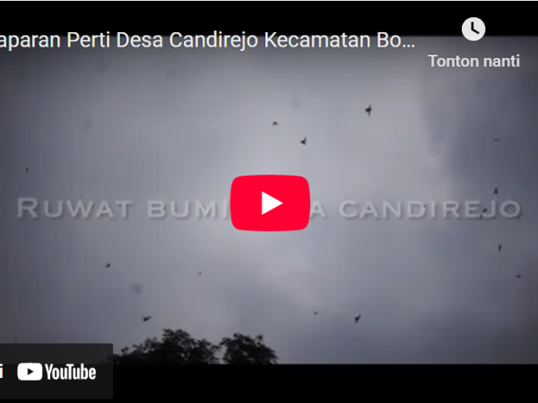 Saparan Perti Desa Candirejo
